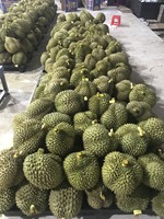 Hete Verkoop Monthong Ri6 Premium Kwaliteit Bevroren En Verse Doerians Zoete Heerlijke/Vietnam Origin Fruit Vertrouwde Leverancier/Anna Do