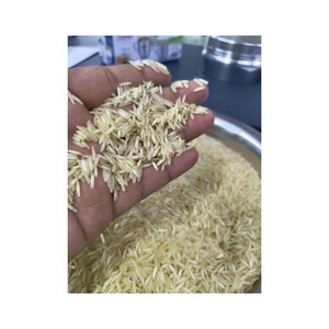 ข้าวเมล็ดมะฮอกกานีสำหรับเตรียมจำหน่าย - Product Image 6