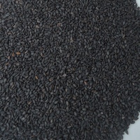 Graines de sésame noires naturelles non-OGM à forte teneur en huile, origine Afrique du Sud, durée de conservation de 24 mois, stockage à froid et à sec, prêtes à l'emploi, expédition immédiate