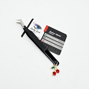 Pince à épiler en acier inoxydable à la mode Cherry Charm Extension de cils Pince à épiler Marque privée durable Produit de vente chaud - Product Image 1