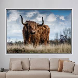 Printed Canvas Artwork: Highland Cow Decor for Farmhouse Elegance,1P:<b>White</b> <b>Framed</b> - Product Image 1