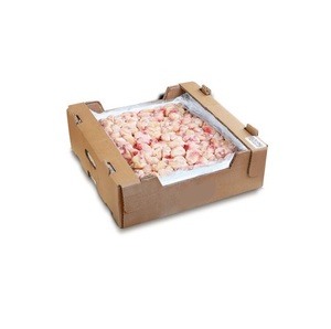 Colas de Pollo Congeladas Premium – Proveedor Mayorista de Exportación - Product Image 6