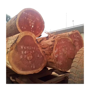 Gỗ padouk cao cấp được cung cấp với số lượng lớn cho các dự án nội thất và trang trí - Product Image 6