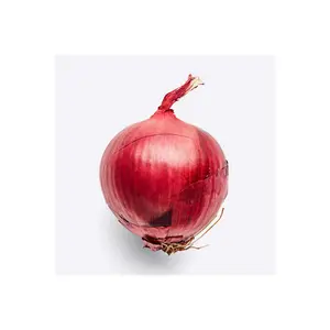 dry red onion high quality whole price from coded farms with best price