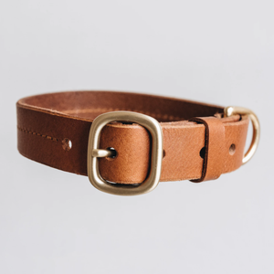 Collier et laisse pour chien et chat en cuir de haute qualité, best-seller, ensemble d'entraînement de luxe, réglable, écologique, durable, personnalisé - Product Image 4