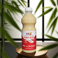 Boisson au yaourt concentré 1+5, probiotique fermenté aux bactéries lactiques, pour jus et thé, 12 bouteilles par boîte, approvisionnement direct usine
