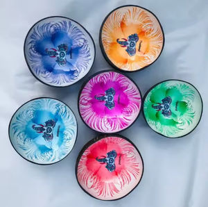 Laca de cáscara de coco, cuenco de coco artesanal para tiendas de recuerdos de VIET FARGIMEX - Product Image 2