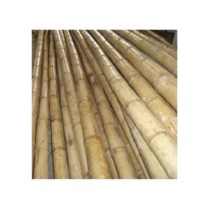 Matériaux Poteau en bambou d'usine du Vietnam de haute qualité avec la taille adaptée aux besoins du client pour les produits matériels en bambou d'approvisionnement agricole