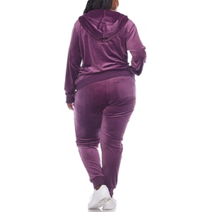 Survêtement en velours pour femmes Ensemble en velours personnalisé Pantalon à capuche à manches longues Ensembles de survêtement en velours pour femmes Costume de sport grande taille - Product Image 6
