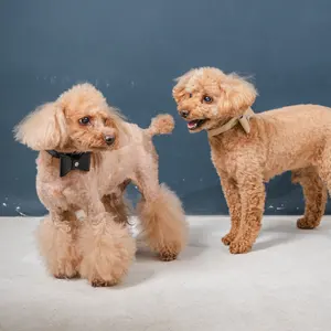 Premium Leather Custom Logo Accessories Luxury Dog Pet Collar