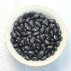 Black Beans Agricultural Products and Health Care Product Best Seller from Thailand