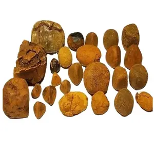 Cheap Price Bulk Sale Top Quality Ox Gallstones - Cattle Gallstones - Cow Gallstones wholesale sale From German Supplier