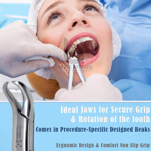 Instrumentos de cirugía oral Fórceps de extracción dental anterior Dentista de acero inoxidable Fórceps anteriores de acero inoxidable de alta calidad - Product Image 2