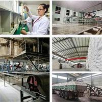 Produit chimique de traitement de l'eau 50 kg Flocons de sol Granulés de qualité alimentaire Al2 So4 3 Sulfate d'aluminium non ferrique