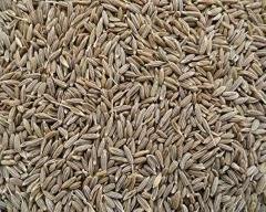 เมล็ดยี่หร่า RAUTIMPEX INTERNATIONAL คุณภาพพิเศษจากอินเดีย - อายุการเก็บรักษา 12 เดือน ส่วนผสมเหนือกาลเวลาสำหรับครัวทั่วโลก - Product Image 3