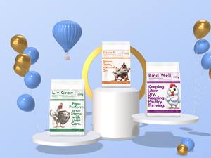 Complément alimentaire pour volaille à base de plantes BindWell pour une santé intestinale optimale, réduit la litière humide et améliore la productivité - Product Image 3