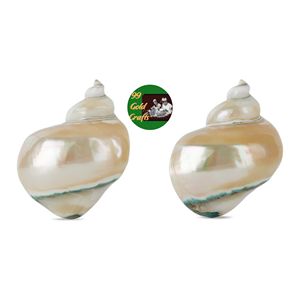 Rondelles de serviette en coquillage écologique Fabricant produit avec des coquillages naturels pour la décoration de table Meilleur prix du Vietnam - Product Image 3