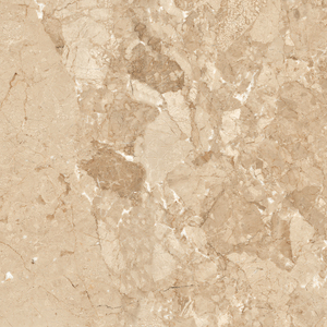 Fabrication de carreaux imprimés à faible absorption d'eau en Inde pour la grande villa de luxe. - Product Image 3