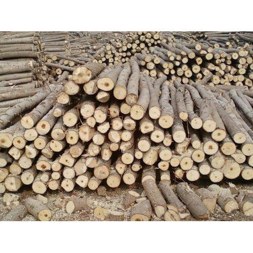 Linyi ming sen 2022 высококачественный LVL Lumbe LVL пиломатериал для строительства крыш деревянный березовый Тополь LVL Tim