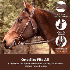 Licol professionnel pour cheval, réglable, durable, équipement d'équitation, support de manipulation, entraînement, équipement d'écurie, performance fiable, soins quotidiens - Product Image 4