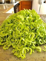 MELÓN AMARGO LIMPIO Y VERDE CONGELADO/SIN ADITIVOS/ALTA CALIDAD - Product Image 2