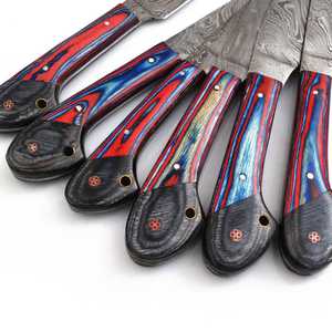 Ensemble de couteaux de chef en acier inoxydable forgés sur mesure, lame VG10, manche creux en bois, sac fourreau en cuir écologique pour l'extérieur - Product Image 4