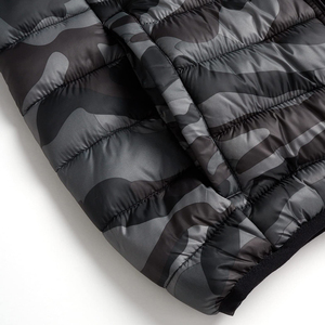 Veste matelassée légère pour hommes Manteau à capuche compressible résistant à l'eau avec col montant et fermeture éclair complète Vente en gros - Product Image 3