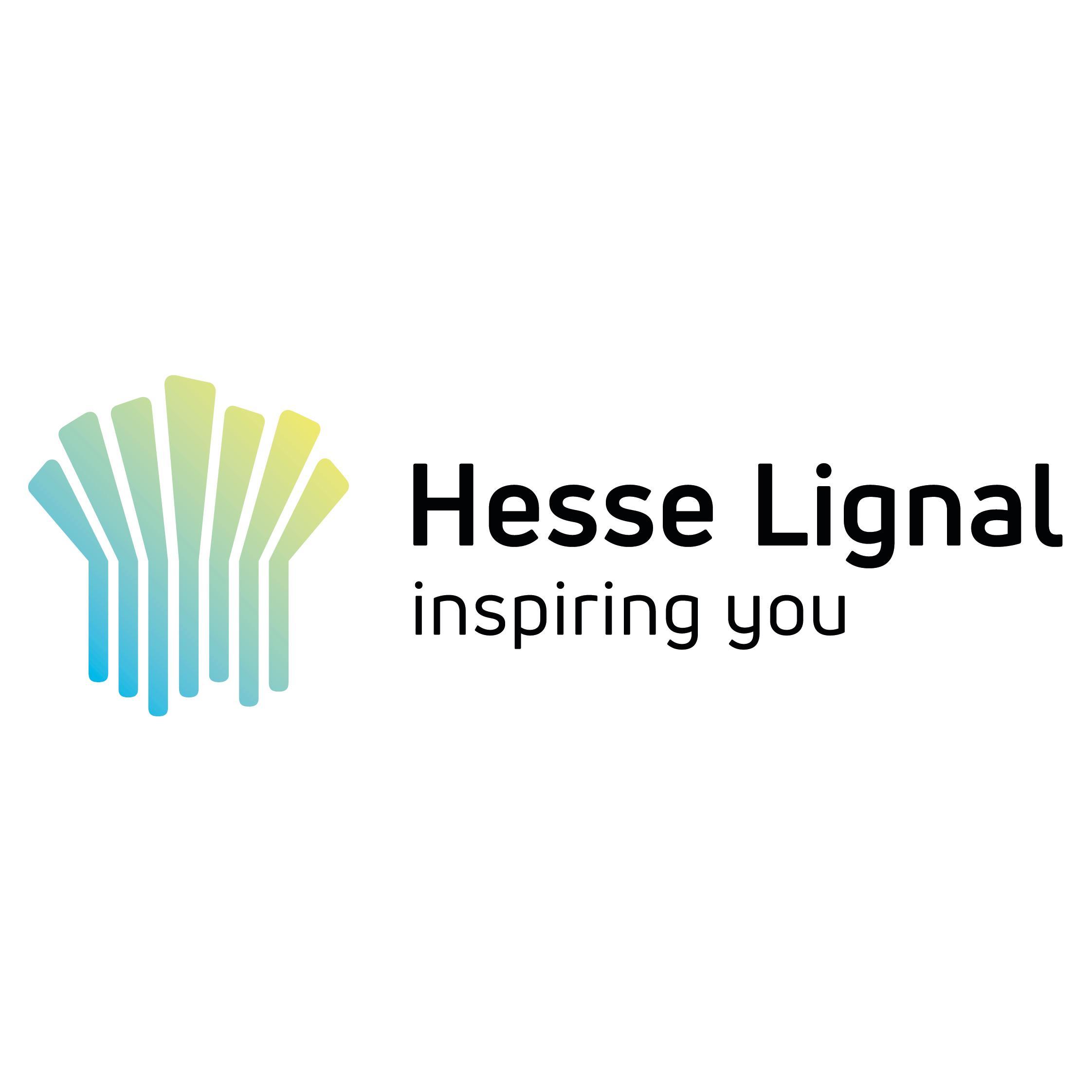 Hesse GmbH & Co KG logo