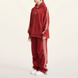 Conjunto de Pantalones y Sudadera con Capucha de Lona para Mujer, Color Sólido, Corte Regular, Formal, Invernal, Transpirable, de Alta Calidad, Dos Piezas, 2025 - Product Image 4