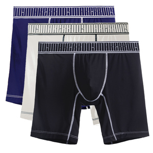 Calzoncillos bóxer deportivos de alta calidad para hombre, Calzoncillos Bóxer elásticos de nailon de 8 pulgadas, pantalones cortos Bóxer elásticos para hombre, Ropa Interior para hombre, envío DDP - Product Image 3