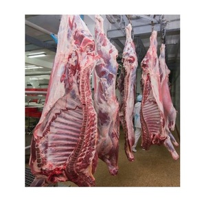 Carcasses de bœuf congelées propres à vendre - Product Image 4
