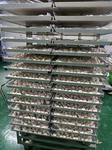 Mangoustan lyophilisé, collation de fruits naturels croustillants, sans additifs, pour la vente au détail et l'exportation, étiquette personnalisée, 50g 100g, prix d'usine du Vietnam - Product Image 6