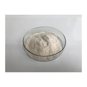 Enzima proteasa alcalina PARA LA hidrolisis de proteínas - Product Image 4