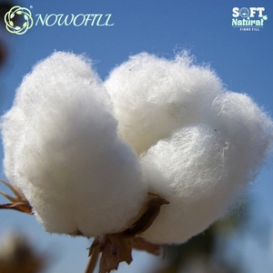 Algodón aire caliente - Product Image 2