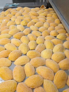 Produits à base de mangue congelée et de mangue séchée |   Mangue verte en dés |   Mangue Kaew du Vietnam - Product Image 3