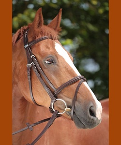 Combinado Snaffle Bridle usted y su caballo una opción elegante, cómoda y elegante para la conducción diaria y la competición - Product Image 5
