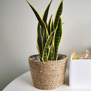 Panier de fleurs du Vietnam bambou naturel rotin style campagnard flexible Baskets-SF2013 de stockage écologique - Product Image 3