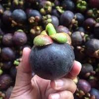 Verse Biologische Mangosteen Thailand - Koningin van de Vruchten Volle Smaak Zoet Gezonde Voordelen Graad 8kg Doos 1-2 Weken Houdbaarheid Khey