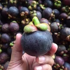 มังคุดสดจากประเทศไทย - ราชินีแห่งผลไม้ อุดมไปด้วยรสชาติ หวาน และมีประโยชน์ต่อสุขภาพมากมาย - Product Image 5