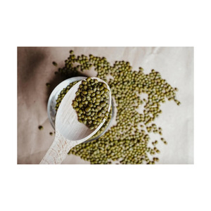 Bulk trade mung <b>beans</b> wholesale premium green grams fast delivery service - Product Image 2