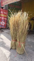 Rouleaux de toit en herbe naturelle de chaume écologique en feuille de palmier pour cabanes et barres tiki à thème de plage Produit d'agriculture biologique