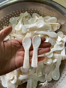 Vietnamese Eco-friendly Conch Spoon for Export - Natural Conch Spoon Mother of Pearl ready to Export with large quantities - Product Image 6