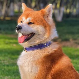 High Quality FAUX Leather <b>Dog</b> Collar and <b>Lead</b> Set Medium Large <b>Dogs</b> Stylish <b>Rope</b> Leash Heavy Duty <b>DOG</b> COLLAR - Product Image 5