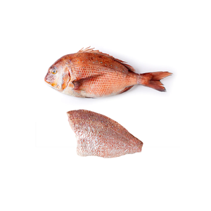 Cao cấp đông lạnh Đỏ biển <span class=keywords><strong>bream</strong></span> <span class=keywords><strong>fillet</strong></span> trong số lượng lớn cho hải sản bán buôn và nhà phân phối - Product Image 6