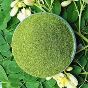 Poudre de feuilles de Moringa sauvage 100% pure, naturelle, de qualité alimentaire, emballée sous vide en fût, extrait à base de plantes, meilleur prix - Product Image 6