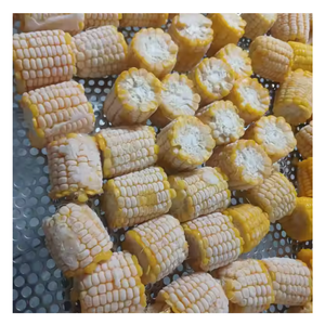 Maíz congelado de Vietnam-Listo para cocinar, adecuado para catering, comidas diarias y programas de almuerzo escolar - Product Image 6