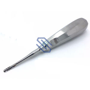 Medium Straight Serrated Stainless Steel <b>Dental</b> Root Elevators Levien Manual Retractor <b>Surgical</b> <b>Instruments</b> Basis - Product Image 1