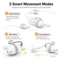 Jouet interactif électronique automatique pour chat et chaton, souris magique roulante, rechargeable par USB, LED, OEM, vente en gros