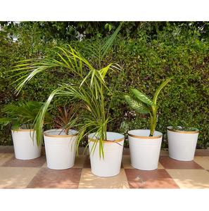 Ensemble de jardinières en métal et fer coloré au design moderne en forme de seau pour la maison, l'extérieur, le jardin, jardinière décorative - Product Image 4