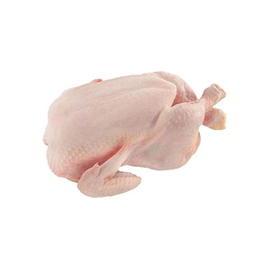 Venta al por mayor Halal congelado pollo entero Cuerpo estilo embalaje con/sin menudillos suministro a granel - Product Image 5